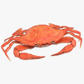 Crab 3D